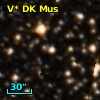 V* DK Mus