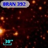 BRAN 392