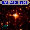 IRAS 12305-6828