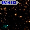 BRAN 393