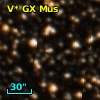 V* GX Mus