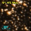 V* HS Mus