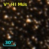 V* HI Mus