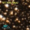 V* HK Mus