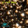 V* HT Mus