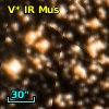 V* IR Mus
