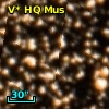 V* HQ Mus