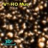 V* HO Mus