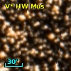 V* HW Mus