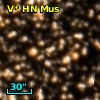 V* HN Mus