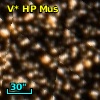 V* HP Mus