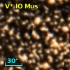 V* IO Mus
