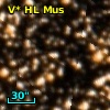 V* HL Mus