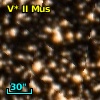 V* II Mus