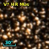 V* HR Mus