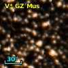 V* GZ Mus
