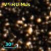 V* HU Mus