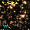 V* HX Mus
