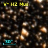 V* HZ Mus