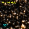 V* IM Mus