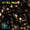 V* KL Mus