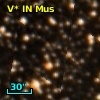 V* IN Mus