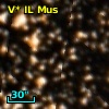 V* IL Mus