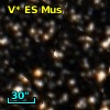 V* ES Mus