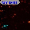 NSV 19435