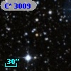 C* 3009