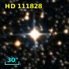 HD 111828