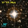 V* EF Mus