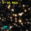 V* DL Mus