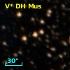 V* DH Mus