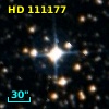 HD 111177