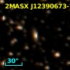 2MASX J12390673-7228338