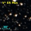 V* ER Mus