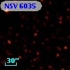 NSV  6035