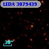 LEDA 3079439