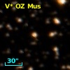 V* OZ Mus