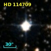 HD 114709