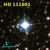 HD 111601