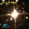 V* LR Mus