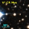 V* CR Mus