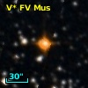 V* FV Mus