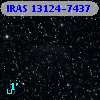 IRAS 13124-7437
