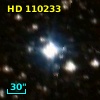 HD 110233