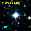 HD 116125