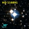 HD 116891