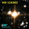 HD 116362